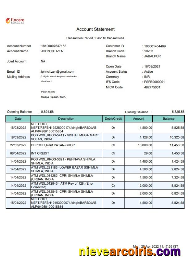 India Fincare bank statement